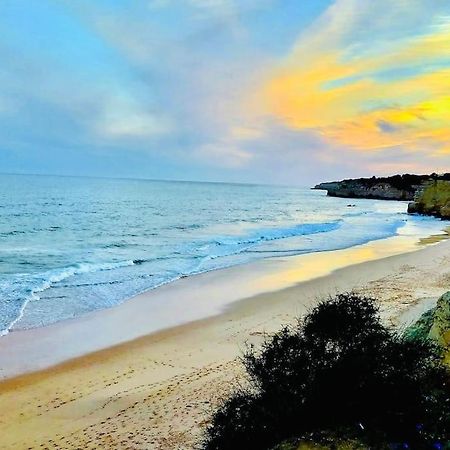 Апартаменти Peradoce - Beach 150M - Terrace - Private Parking Армасан-де-Пера Екстер'єр фото